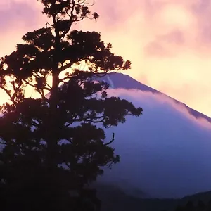 華の宿　ふくや 旅館 箱根町